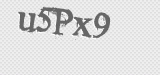 CAPTCHA code