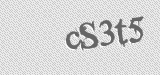 CAPTCHA code