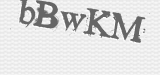 CAPTCHA code