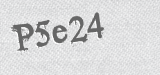 CAPTCHA code