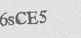 CAPTCHA code