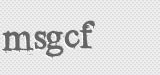 CAPTCHA code
