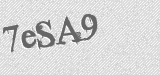 CAPTCHA code