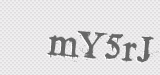 CAPTCHA code