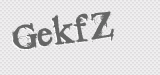 CAPTCHA code
