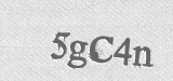 CAPTCHA code