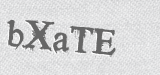 CAPTCHA code