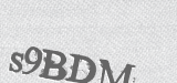CAPTCHA code