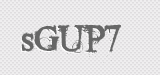CAPTCHA code