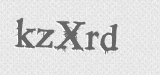 CAPTCHA code