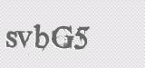 CAPTCHA code