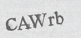 CAPTCHA code