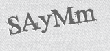 CAPTCHA code