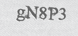 CAPTCHA code
