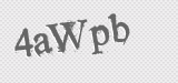 CAPTCHA code