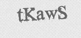 CAPTCHA code