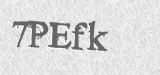 CAPTCHA code