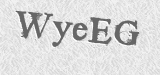 CAPTCHA code