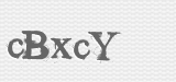 CAPTCHA code