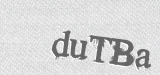 CAPTCHA code