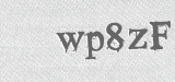 CAPTCHA code