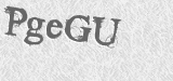 CAPTCHA code