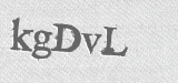 CAPTCHA code
