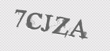 CAPTCHA code