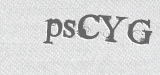 CAPTCHA code