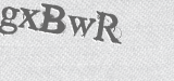 CAPTCHA code