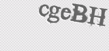 CAPTCHA code