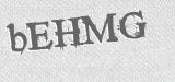 CAPTCHA code