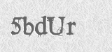 CAPTCHA code