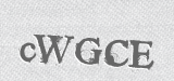 CAPTCHA code