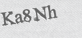 CAPTCHA code