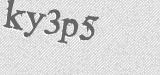 CAPTCHA code