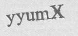 CAPTCHA code