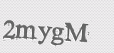 CAPTCHA code