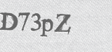 CAPTCHA code
