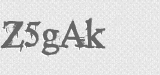 CAPTCHA code