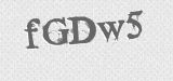 CAPTCHA code