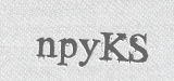 CAPTCHA code