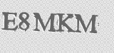 CAPTCHA code
