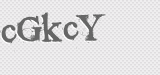 CAPTCHA code