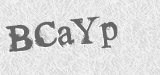 CAPTCHA code