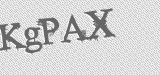 CAPTCHA code
