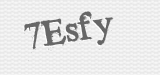 CAPTCHA code