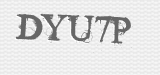 CAPTCHA code