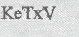 CAPTCHA code
