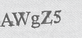 CAPTCHA code